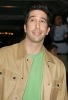 david schwimmer photo2