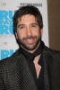 david schwimmer picture1