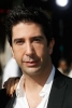 david schwimmer picture3