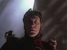 david warner picture4