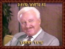 david white pic1