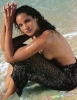 dawn stern image