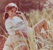 dawn wells image1