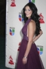 dayanara torres image