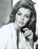 deanna lund image1