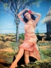 debra paget image1