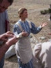 dee wallace stone picture