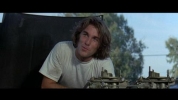 dennis wilson image