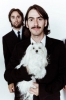 dhani harrison picture2