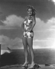 diana lewis photo