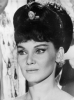 diane cilento pic
