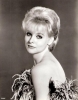 diane mcbain image4