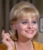 diane mcbain picture