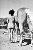 diane webber image1