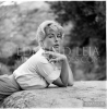 diane webber image2