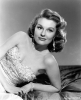 dianne foster picture