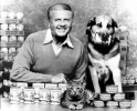 dick van patten picture1