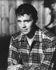 dirk bogarde picture3