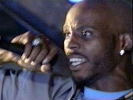 dmx photo