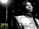 dmx picture1