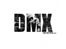 dmx picture3