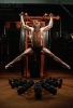dolph lundgren photo