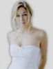 dominique van hulst picture1