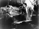 don knotts picture2