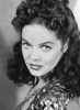dona drake photo1