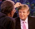 donald trump img