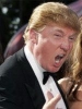 donald trump picture