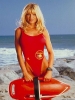 donna d errico pic1