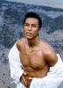 donnie yen image