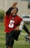 donovan mcnabb image1