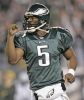 donovan mcnabb image2