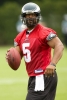 donovan mcnabb photo2