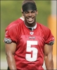 donovan mcnabb picture4