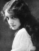 dorothy bernard picture