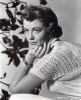 dorothy malone picture3