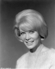 dorothy provine image