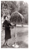 dorothy sebastian picture