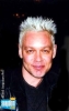 doug hutchison photo