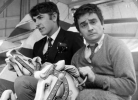 dudley moore image3