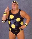 dusty rhodes