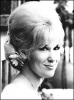 dusty springfield picture3