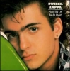 dweezil zappa picture1