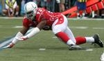 dwight freeney