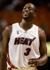 dwyane wade picture2