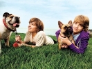 dylan sprouse photo2