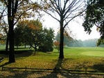 earl woods